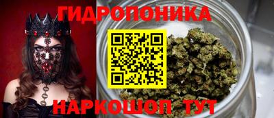 шишки Мариинск